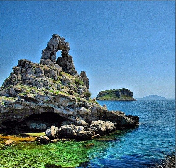 Cuộc[-]sống[-]ở[-]các[-]hòn[-]đảo[-]của[-]riêng[-]mèo,[-]thỏ,[-]chuột[-]14